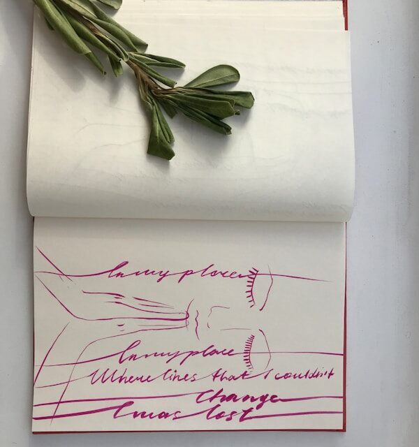 green leaves on book with praying person sketch